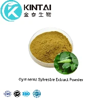 Gymnema Sylvestre Extract Powder