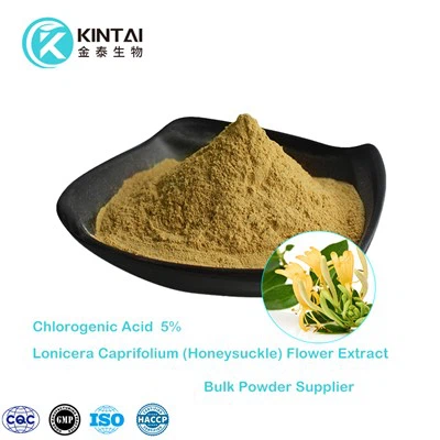 Lonicera Japonica Honeysuckle Flower Extract Chlorogenic Acid