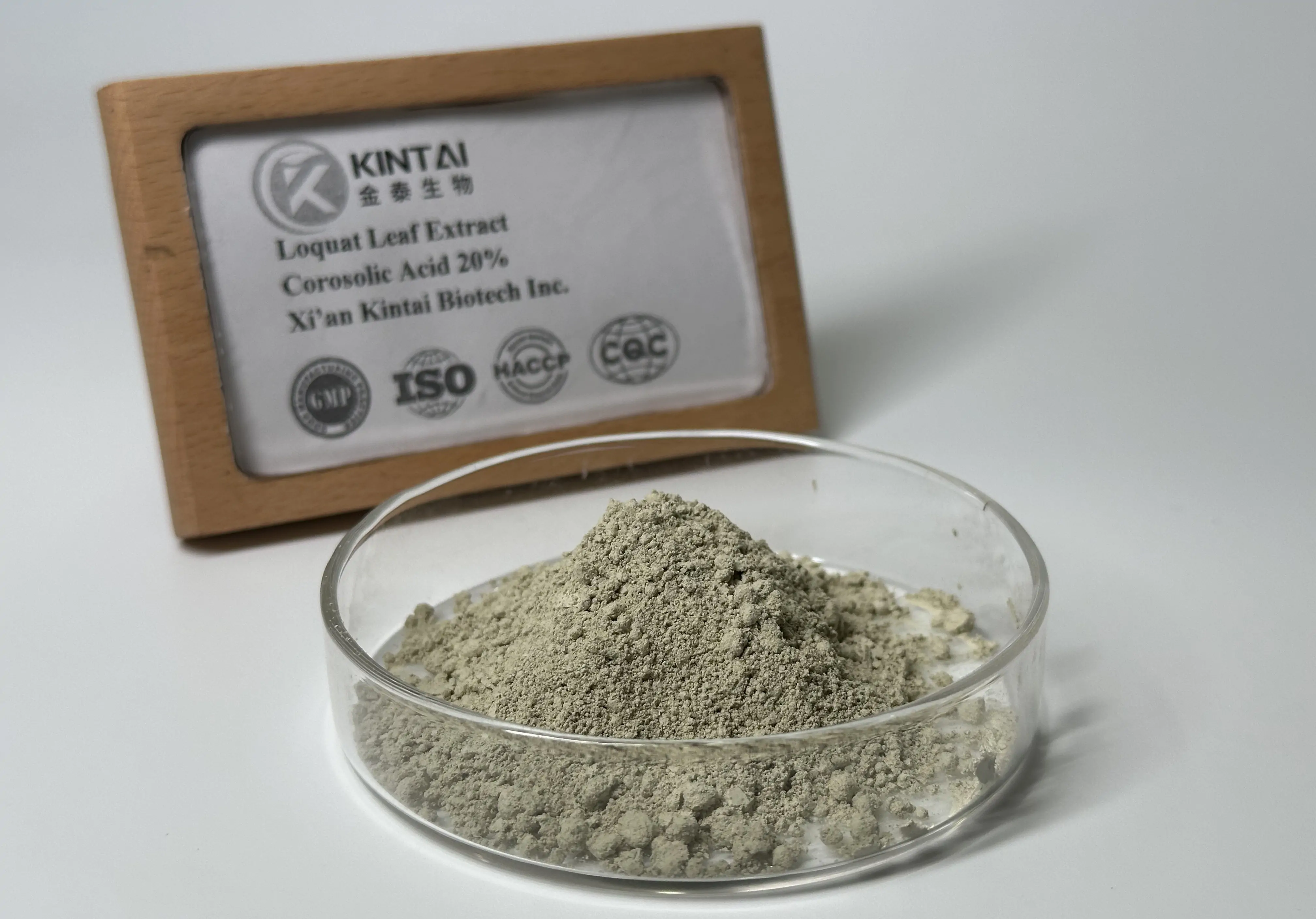 Loquat Leaf Extract Powder
