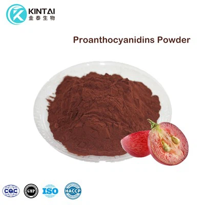 Proanthocyanidins Powder