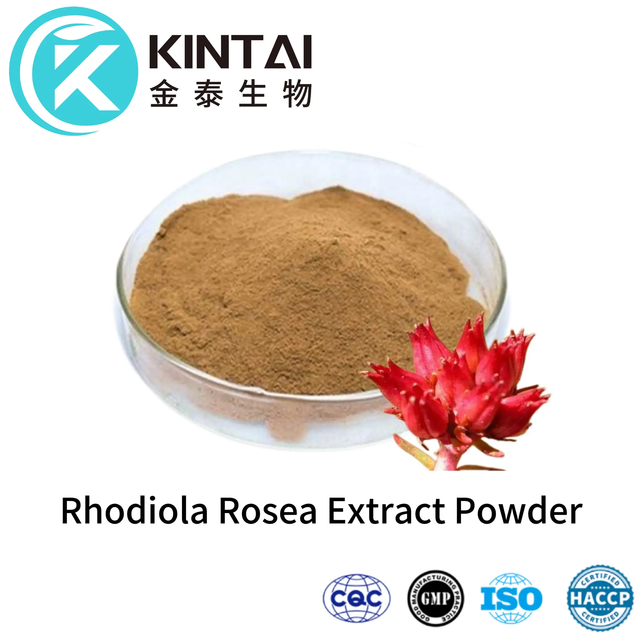 Rhodiola Rosea Extract Powder