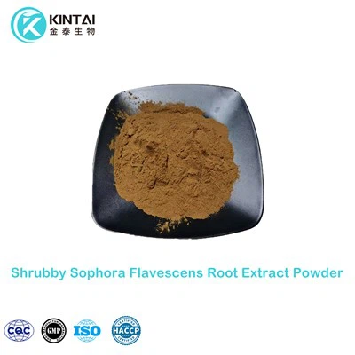 Shrubby Sophora Flavescens Root Extract Powder