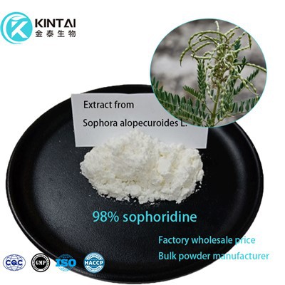 Sophoridine Powder
