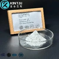 Tranexamic Acid Powder