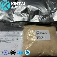 Yeast Extract Powder